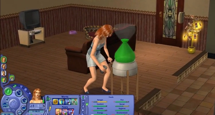 understand-the-life-stages-in-sims-2-step-4bullet3